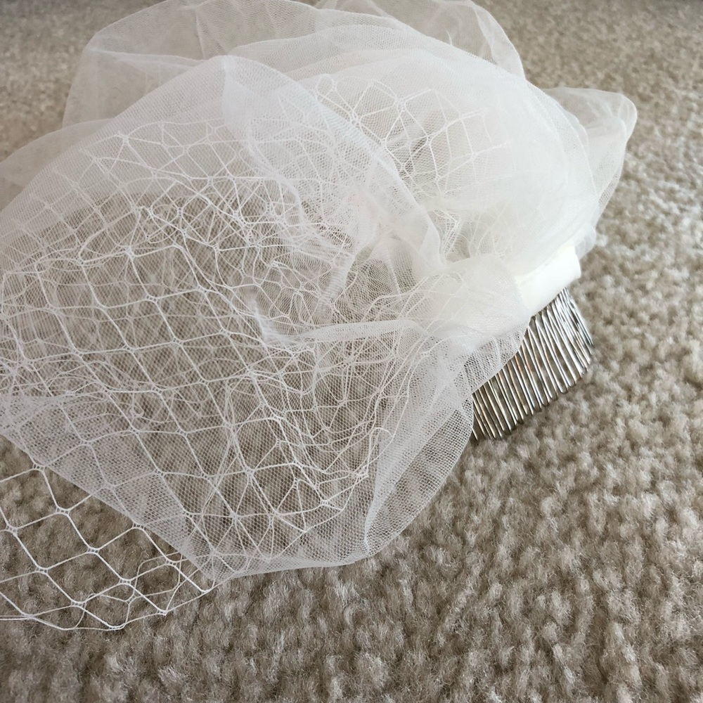 Birdcage veil